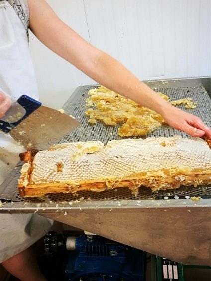 Decoupe-cadre-miel-cire-apiculture