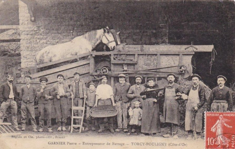 Histoire agriculture Trépigneuse chevaux 1916