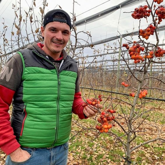 Benjamin Cucchietti-mister agri 2024 arboriculteur pommes Alpes